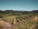Vente Terrain Cascastel-des-corbieres ROUTE DES CHÂTEAUX CATHAR 11360 107 m2