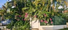 Vente Appartement Sainte-luce 97228 4 pieces 86 m2