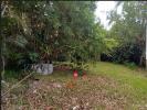 Vente Terrain Tampon 97430 600 m2