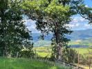 Vente Terrain Oingt 69620 1663 m2