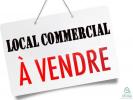 Vente Local commercial Meximieux 01800 500 m2