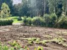 Vente Terrain Ancenis  44150 750 m2