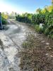 Vente Terrain Matoury 97351 4000 m2