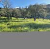 Vente Terrain Mages CENTRE VILLAGE 30960 990 m2