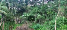 Vente Terrain Saint-joseph 97480 1362 m2