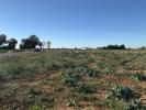 Vente Terrain Loire-les-marais 17870 525 m2