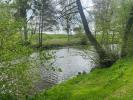 Vente Terrain Preuilly-sur-claise 37290 3000 m2