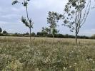 Vente Terrain Trans-sur-erdre 44440 396 m2