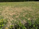 Vente Terrain Paulhan 34230 555 m2