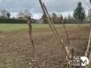 Vente Terrain Bourges  18000 1765 m2