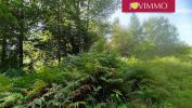 Vente Terrain Neuvic 19160