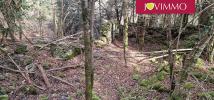 Vente Terrain Bagneres-de-luchon 31110
