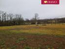 Vente Terrain Saint-pierre-roche 63210