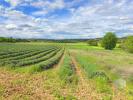 Vente Terrain Saint-montan 07220 1800 m2