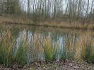 Vente Terrain Lille 59000 3141 m2