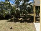 Vente Maison Sainte-marie 97438