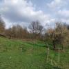 Vente Terrain Saint-martin 67220 367 m2