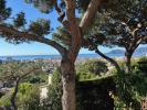 Vente Maison Cannes 06400 7 pieces 204 m2