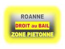 Vente Maison Roanne ZONE PIETONNE 42300 55 m2