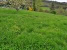 Vente Terrain Saint-didier-au-mont-d'or  69370