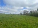 Vente Terrain Sauveterre-de-guyenne  33540 500 m2