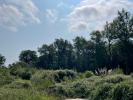 Vente Terrain Salleboeuf  33370 950 m2