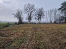 Vente Terrain Avelanges MONTAGNY-LES-SEURRES 21120 1261 m2