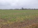 Vente Terrain Pompignac  33370 620 m2