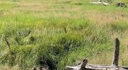 Vente Terrain Hourtin  33990 425 m2