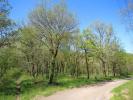 Vente Terrain Monteils 12200 22925 m2