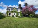 Vente Maison Chatillon-sur-indre 36700 8 pieces 257 m2
