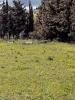 Vente Terrain Maraussan 34370
