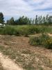 Vente Terrain Saint-hilaire-d'ozilhan 30210 950 m2