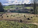 Vente Terrain Limonest  69760 953 m2