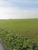 Vente Terrain Villedoux 17230 340 m2