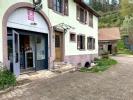 Vente Maison Breitenau 67220 10 pieces 259 m2