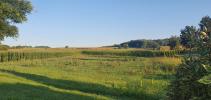 Vente Terrain Rantzwiller 68510 613 m2