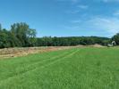 Vente Terrain Hengwiller  67440