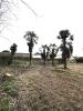 Vente Terrain Sarcelles 95200 1700 m2