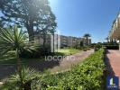 Location Bureau Cannes 06400 330 m2