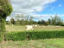 Location Maison Aubigny 85430 6 pieces 191 m2