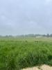 Vente Terrain Baron 33750 565 m2