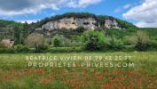 Vente Maison Eyzies  24620 4 pieces 110 m2