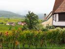 Vente Prestige Zellenberg 68340 18 pieces 370 m2