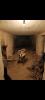 Vente Maison Amboise Rue de mosny 37400 2 pieces 58 m2