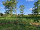 Vente Terrain Biscarrosse  40600 1200 m2