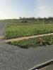 Vente Terrain Thou  17290 261 m2