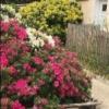 Location Appartement Orly 94310 125 m2