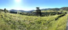 Vente Terrain Bourg-argental 42220 1215 m2