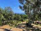 Vente Terrain Grimaud 83310 2505 m2